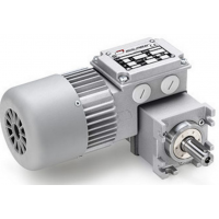 Minimotor 減速電機AM 40 AM 66 AM 100P AM 160P2 AM 180M2技術(shù)詳情