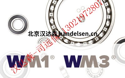 product-wm1-wm3