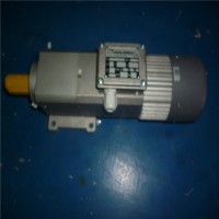 德國Mini motor 同軸電機 AC-72T 7.4 B3產品介紹