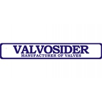 意大利VALVOSIDER閘閥API 600