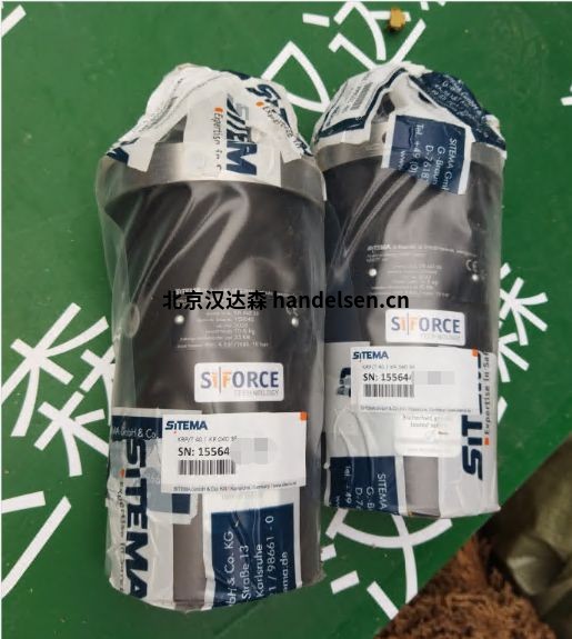 SITEMA安全制動(dòng)器鎖定裝置