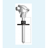 Thermo-Electra熱電偶，熱電阻傳感器，多點溫度傳感器，熱電偶套管