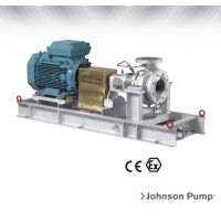 Johnson Pump 重型流程泵，適合化工/石化工業(yè)、煉油廠和一般工業(yè)應(yīng)用