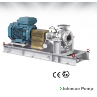 Johnson Pump 重型流程泵，適合化工、煉油廠和一般工業(yè)應(yīng)用